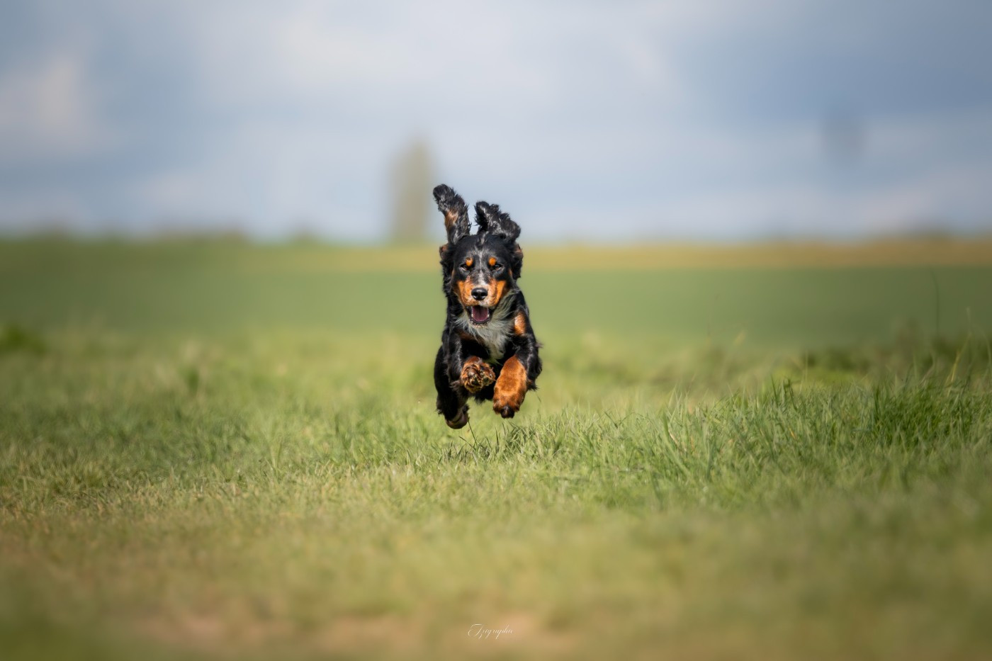 Publication : Des Feux de l'Espoir