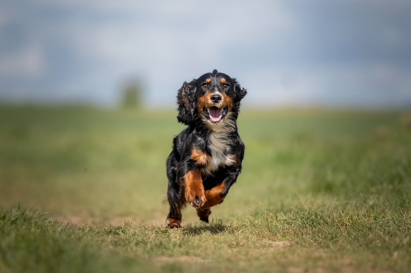 Publication : Des Feux de l'Espoir