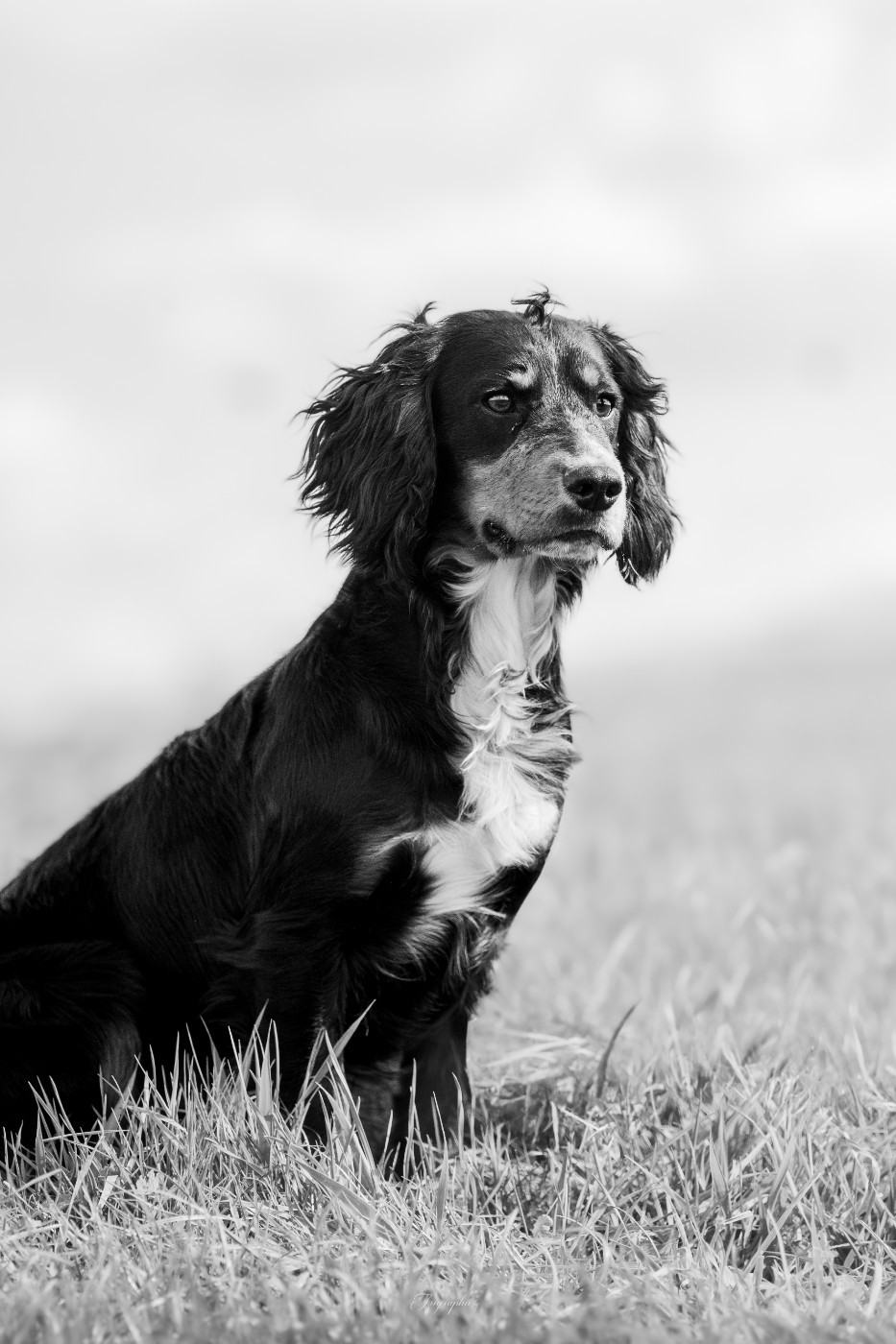 Publication : Des Feux de l'Espoir