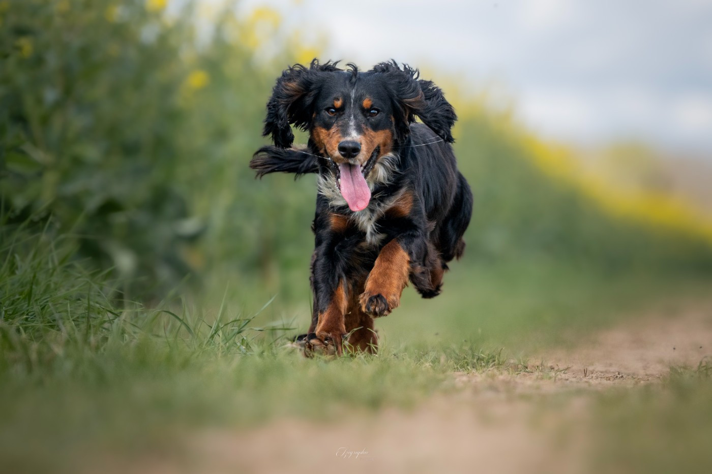 Publication : Des Feux de l'Espoir
