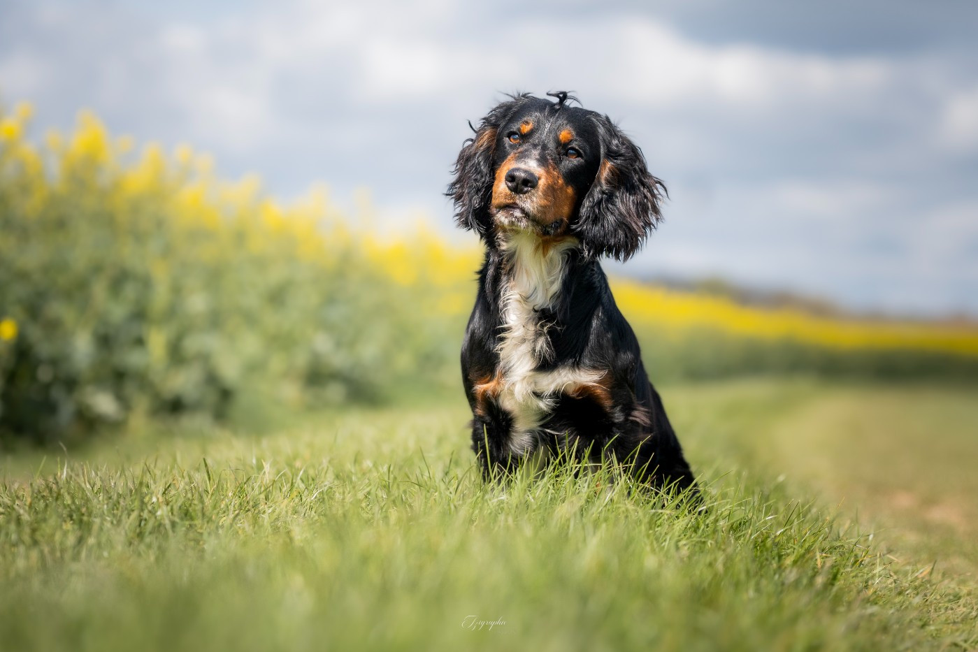 Publication : Des Feux de l'Espoir