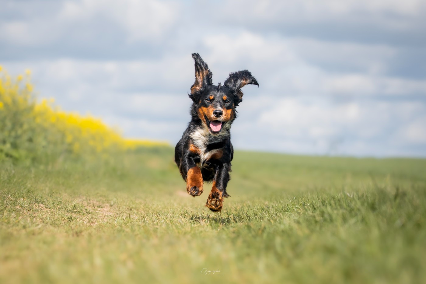Publication : Des Feux de l'Espoir