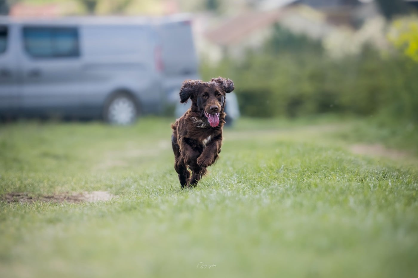 Publication : Des Feux de l'Espoir Auteur : IZIGRAPHIE
