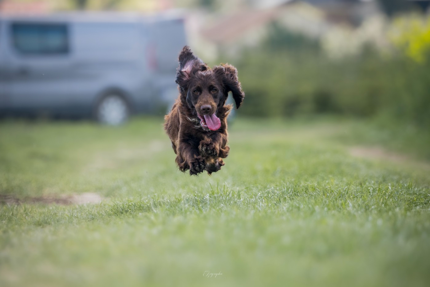 Publication : Des Feux de l'Espoir Auteur : IZIGRAPHIE