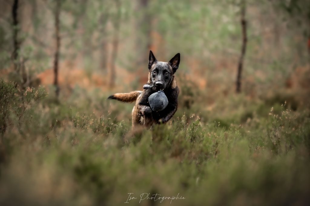 Publication : Des Feux de l'Espoir Auteur : Isa Photographie