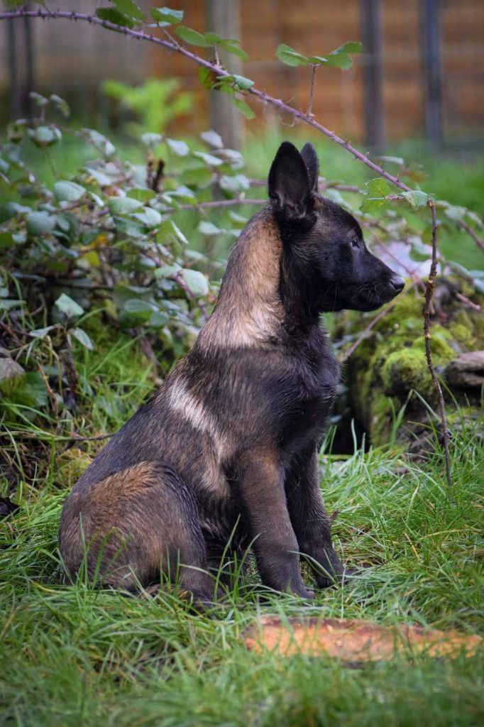 Publication : Des Feux de l'Espoir Auteur : Isa Photographie