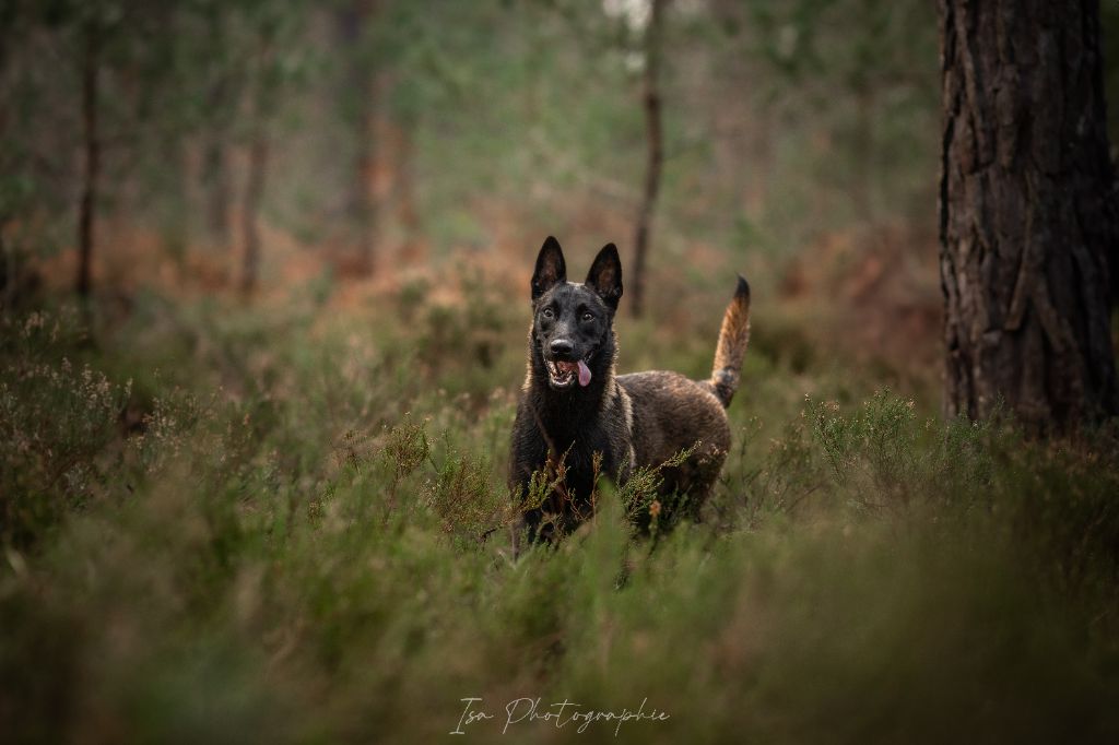 Publication : Des Feux de l'Espoir Auteur : Isa Photographie