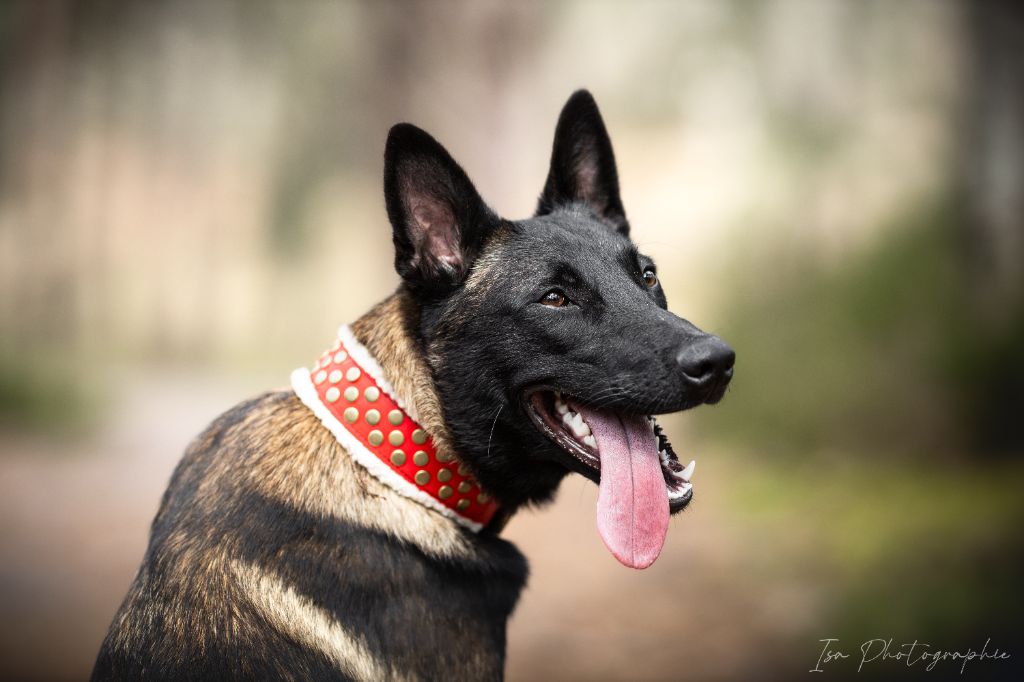 Publication : Des Feux de l'Espoir Auteur : Isa Photographie