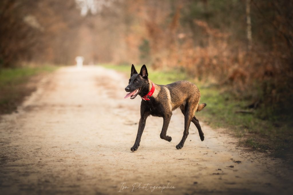 Publication : Des Feux de l'Espoir Auteur : Isa Photographie