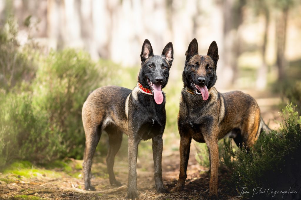 Publication : Des Feux de l'Espoir Auteur : Isa Photographie