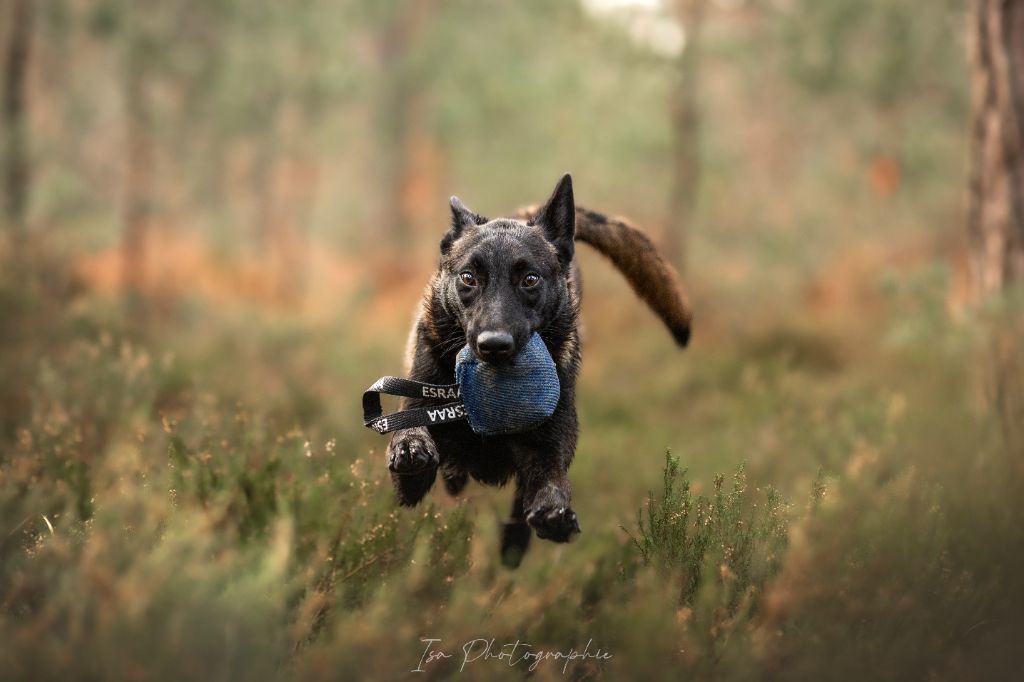 Publication : Des Feux de l'Espoir Auteur : Isa Photographie