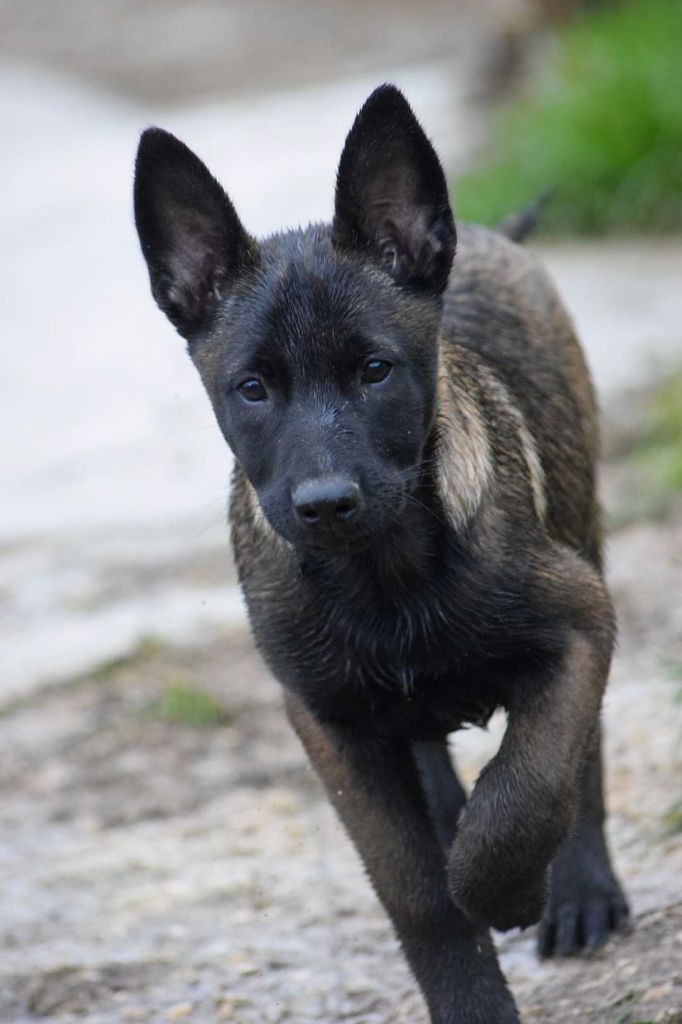 Publication : Des Feux de l'Espoir Auteur : Isa Photographie