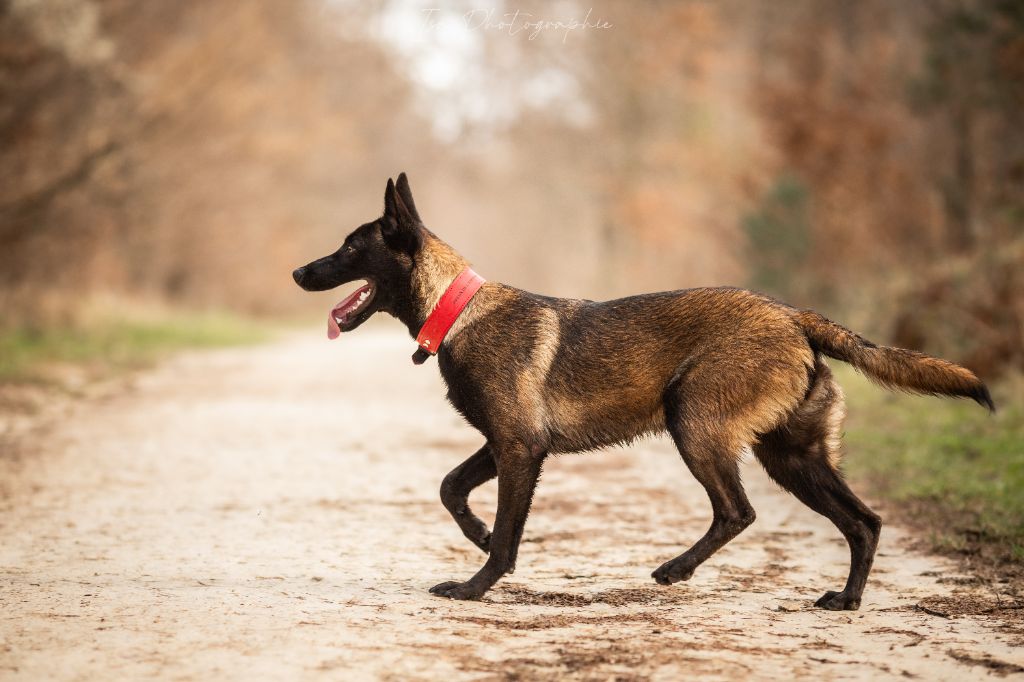 Publication : Des Feux de l'Espoir Auteur : Isa Photographie