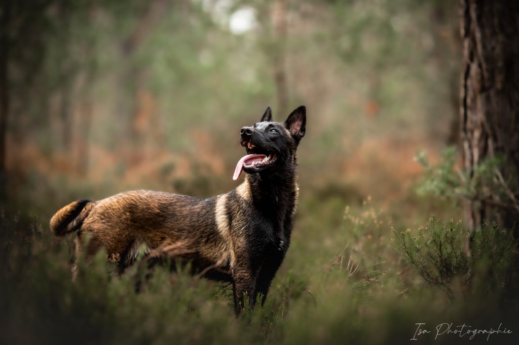 Publication : Des Feux de l'Espoir Auteur : Isa Photographie