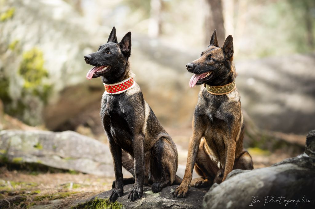 Publication : Des Feux de l'Espoir Auteur : Isa Photographie