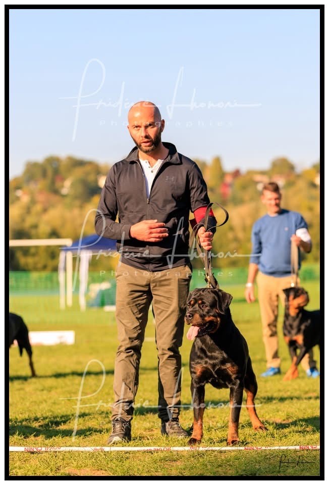 Tennessee Du Domaine d'Helfy Et Ganja - 2ème excellent classe ouverte femelle