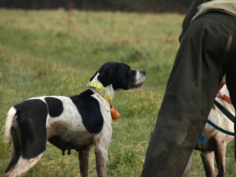 Publication : des landes du cragou