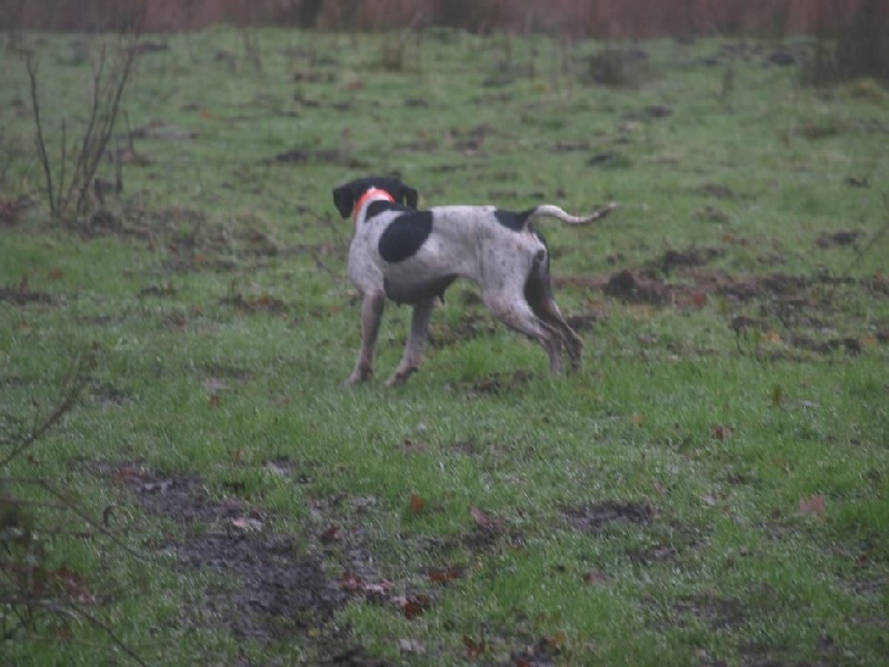 Publication : des landes du cragou