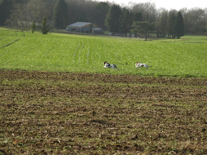 Publication : des landes du cragou