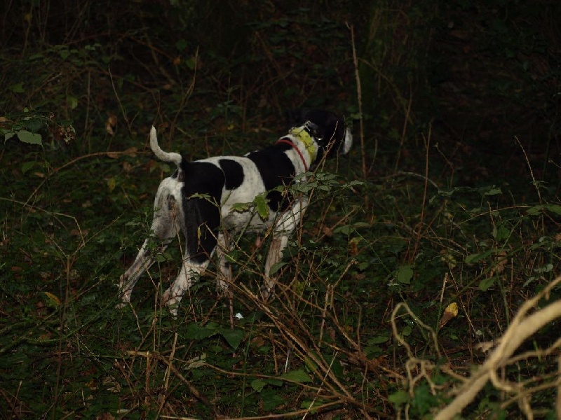 Publication : des landes du cragou