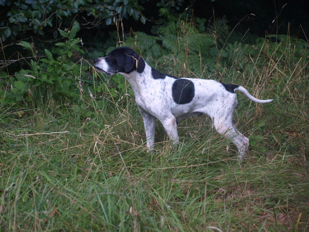 Publication : des landes du cragou