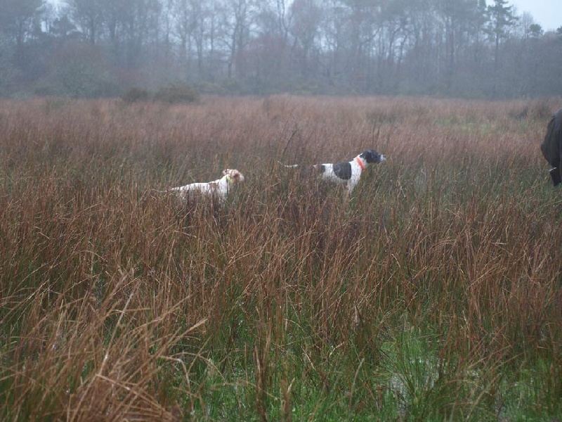 Publication : des landes du cragou