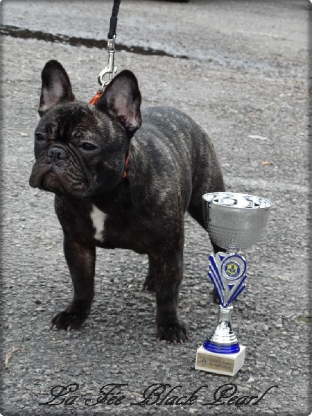 Lola (Sans Affixe) - 1er Excellent classe Jeune + confirmation