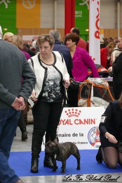 Lola (Sans Affixe) - 3ème Excellent classe intermédiaire