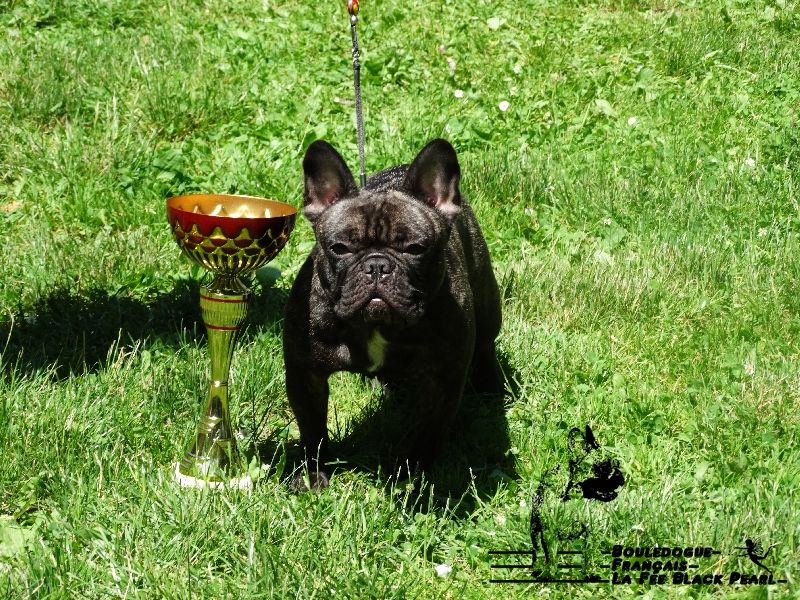 Lola (Sans Affixe) - 1er Excellent + RCACS classe ouverte