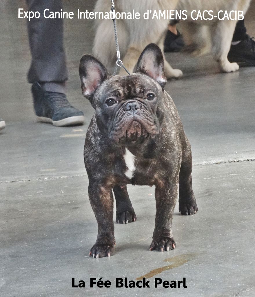 Lola (Sans Affixe) - 1er Très bon classe ouverte