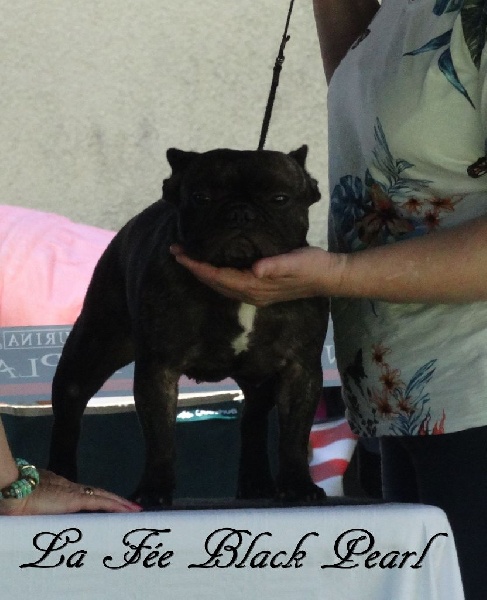 Lola (Sans Affixe) - Excellent classe intermédiaire + TAN