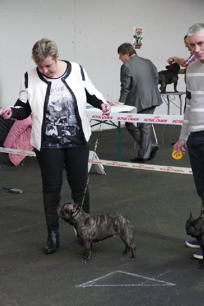 Lola (Sans Affixe) - TB non classé classe intermédiaire