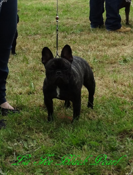 Lola (Sans Affixe) - 2ème Excellent classe Intermédiaire