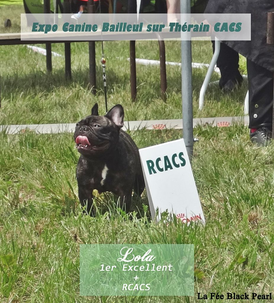 Lola (Sans Affixe) - 1er Excellent + RCACS classe ouverte