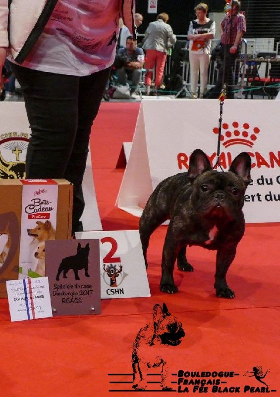 Lola (Sans Affixe) - 1er Excellent + RCACS classe ouverte