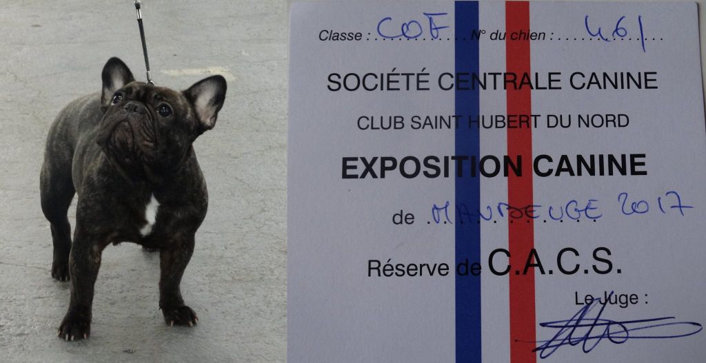 Lola (Sans Affixe) - 1er Excellent + RCACS classe ouverte