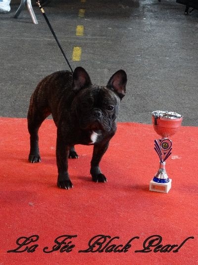 Lola (Sans Affixe) - 2ème Excellent classe Jeune