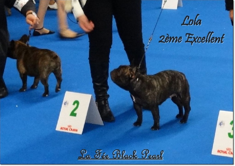 Lola (Sans Affixe) - 2ème Excellent en classe intermédiaire