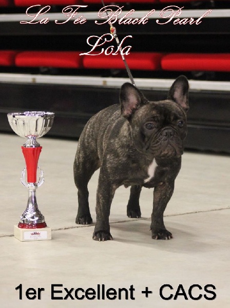 Lola (Sans Affixe) - 1er Excellent en classe intermédiaire + CACS