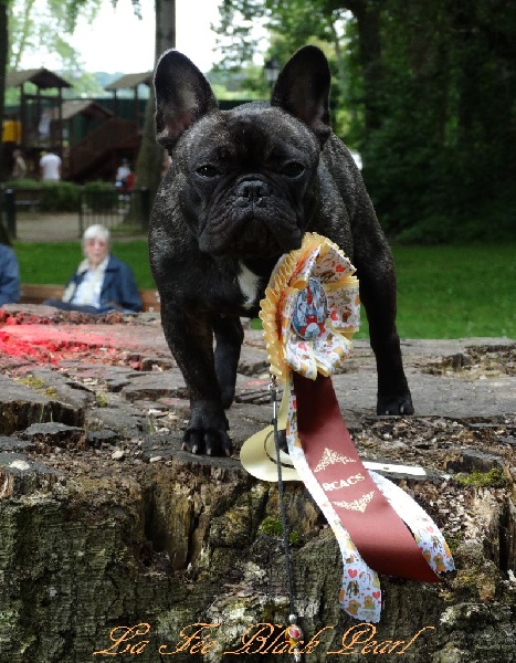 Lola (Sans Affixe) - 1er Excellent classe intermédiaire + RCACS