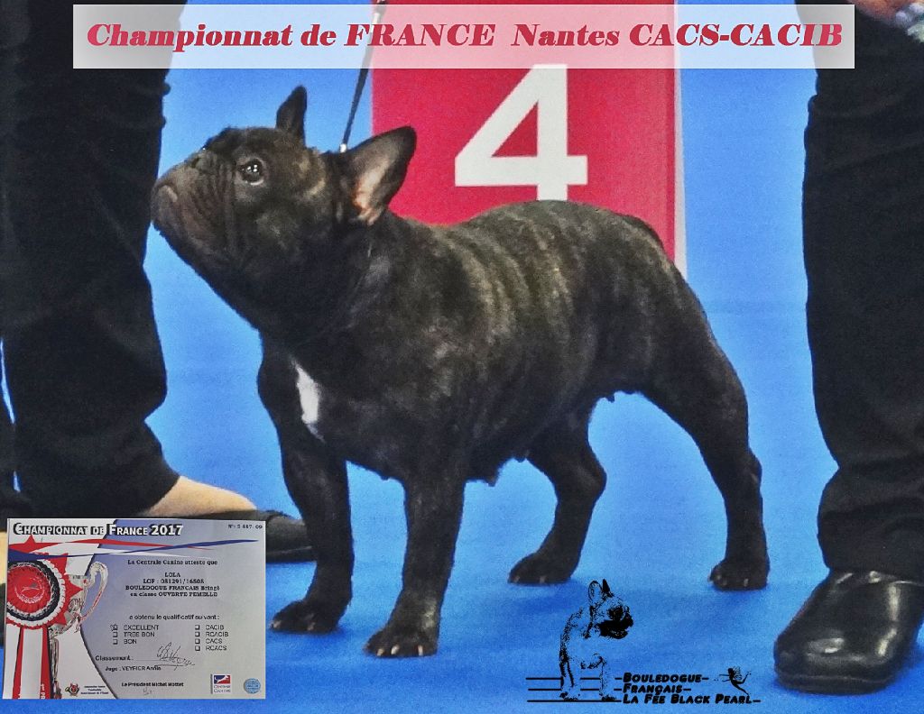 Lola (Sans Affixe) - Excellent non classé classe ouverte