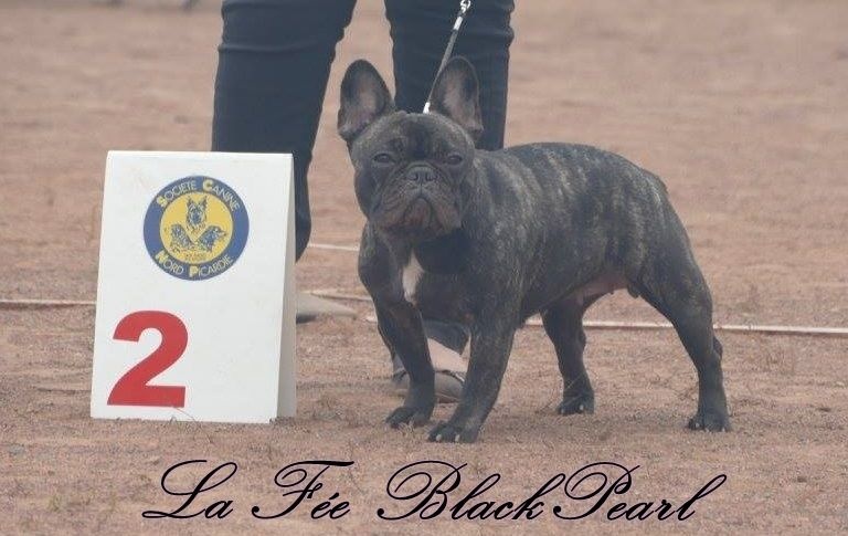 Lola (Sans Affixe) - 2ème Excellent en classe intermédiaire + RCACS