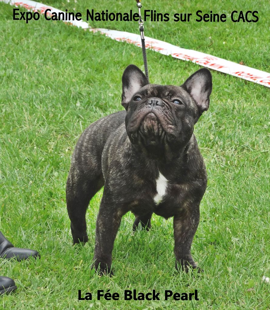 Lola (Sans Affixe) - 2ème Excellent classe ouverte