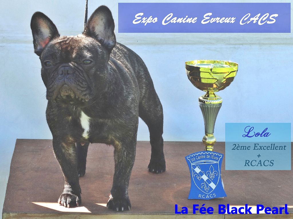 Lola (Sans Affixe) - 2ème Excellent + RCACS classe ouverte