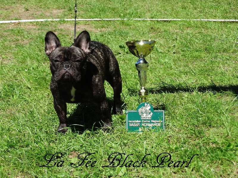 Lola (Sans Affixe) - 1er Excellent classe intermédiaire + RCACS