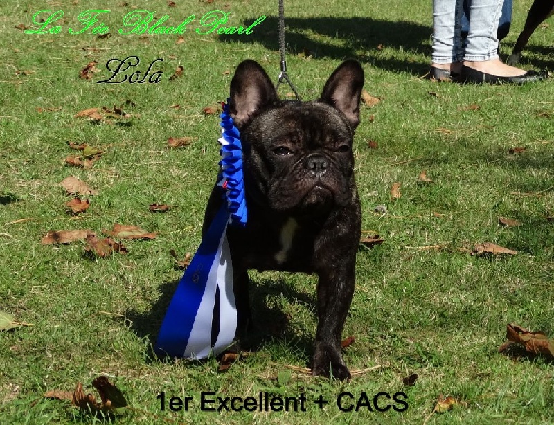 Lola (Sans Affixe) - 1er Excellent en classe intermédiaire + CACS