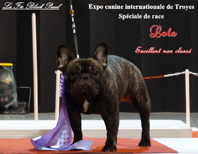 Lola (Sans Affixe) - Excellent non classé classe intermédiaire