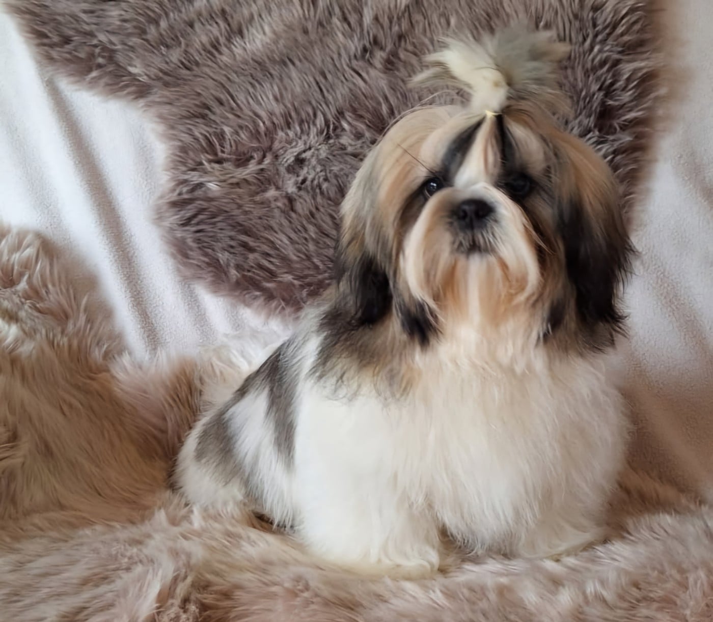 Valentino Coco Des Merveilles Du Mas