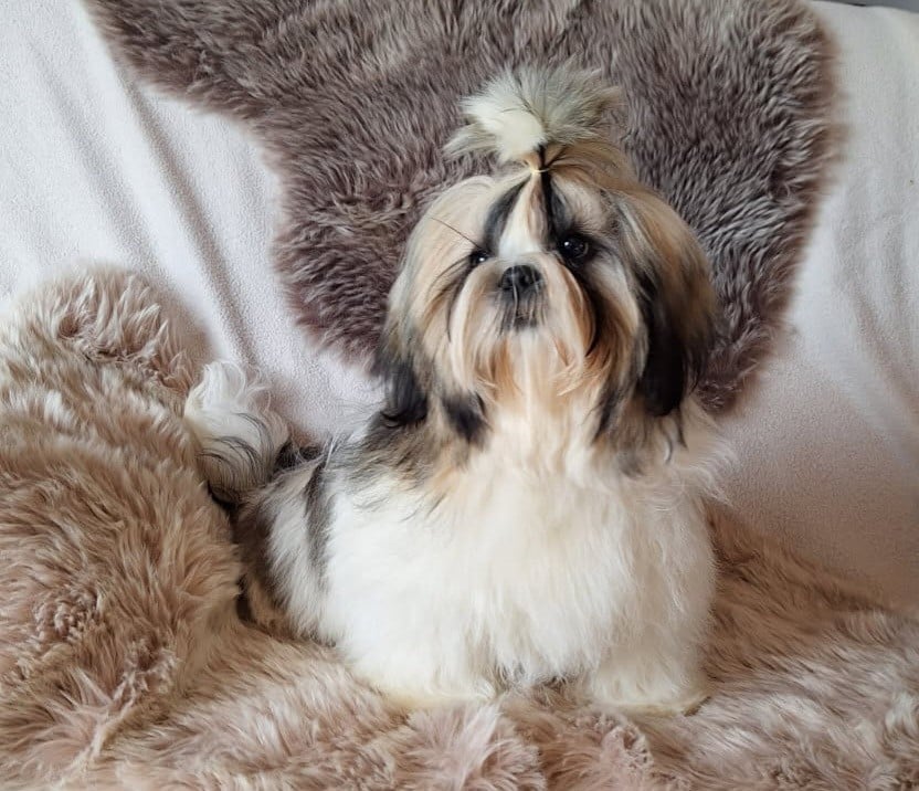 Valentino Coco Des Merveilles Du Mas