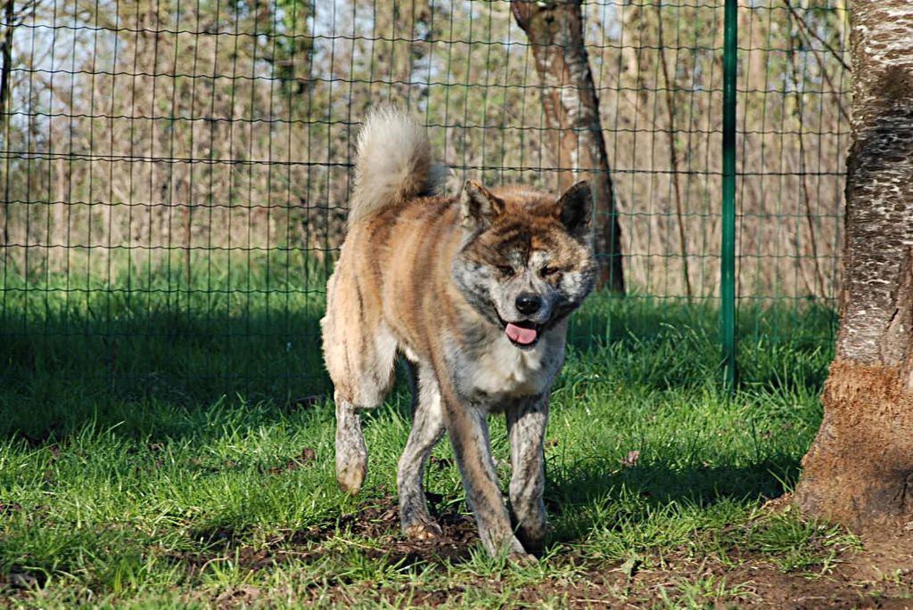 Publication : De La Plume Sélène